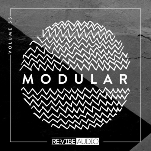 VA - Modular, Vol. 55 [RACOMP555B]